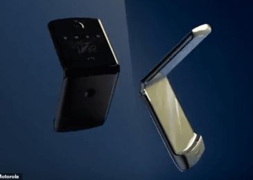In Nature Motorola’s foldable RAZR may have been seen